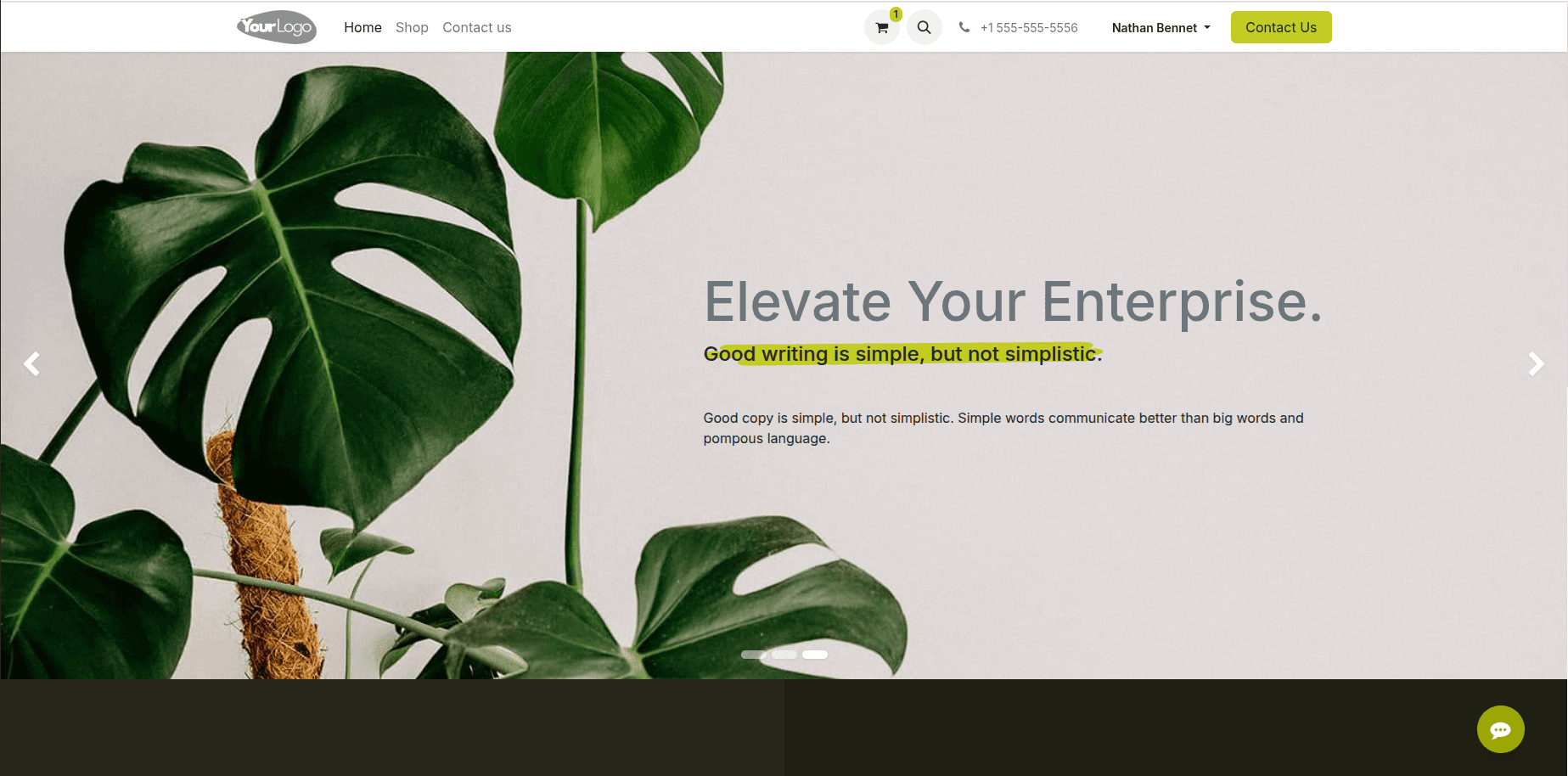 Design, Publish, and Manage Your Website Effortlessly